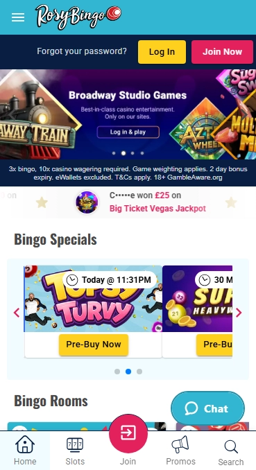 Rosy Bingo Casino
